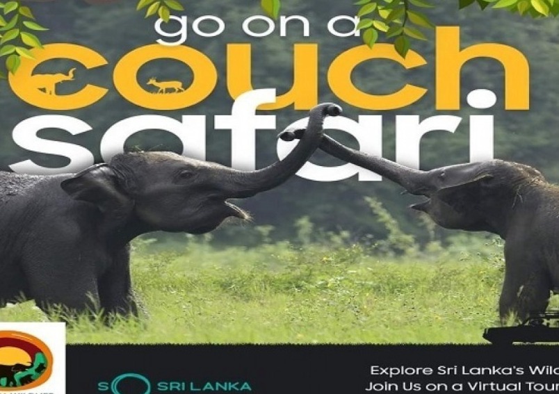 “Let’s go on a couch safari” virtual stream on Sri Lanka national parks from 04th November to 13th November 2020