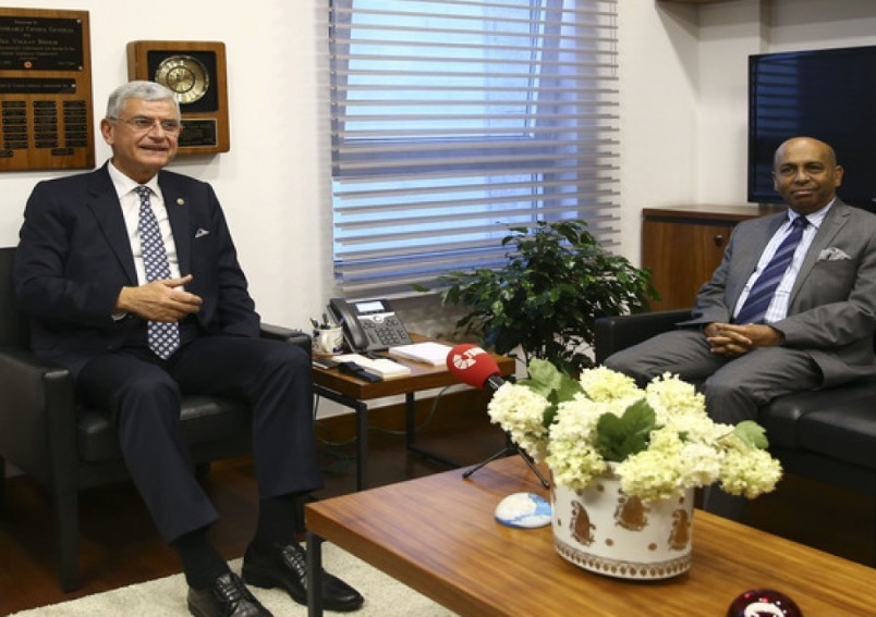 Ambassador meets the Chairman of the Foreign Affairs Committee of Turkish Parliament