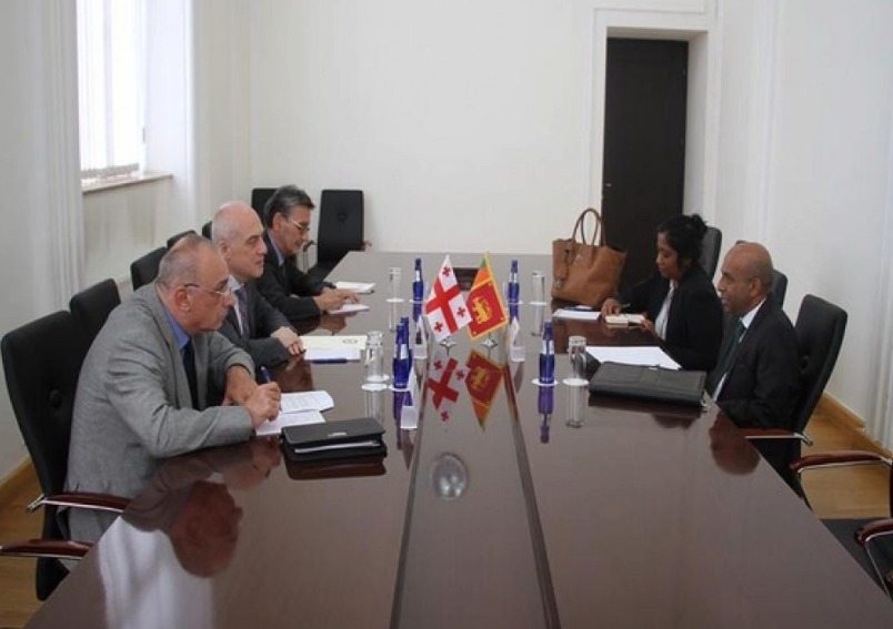 Ambassador Amza met Minister of Foreign Affairs of Georgia H.E David Zalkaliani